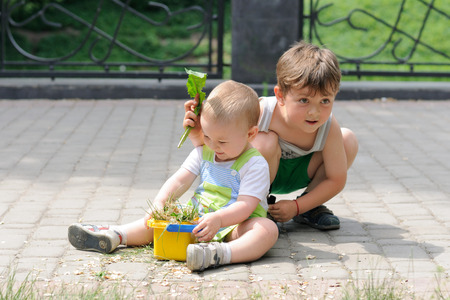 Boys playing on the sidewalk, collecting leaves in the bucketの写真素材