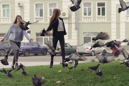 Two girlfriends chase pigeons in the park. They fool around and have fun, because they have a good moodの写真素材