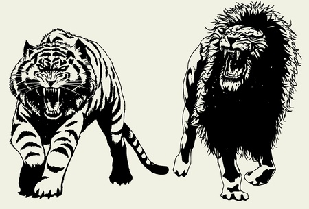 Hand drawn Tiger and Lion hunting togther.のイラスト素材