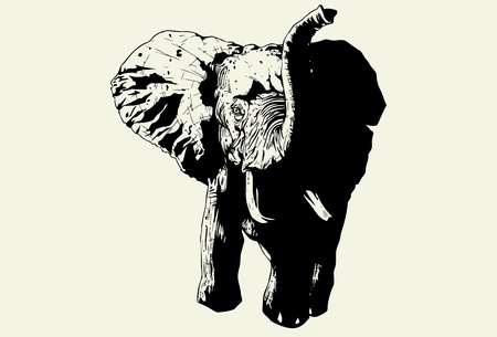 Hand drawn wild elephant charging forwardのイラスト素材