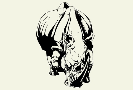 Hand drawn wild rhinoのイラスト素材