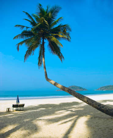 Tropical beach of Palolem, Goa, Indiaの写真素材