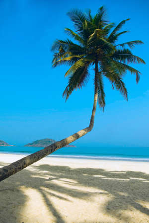 Tropical beach of Palolem, Goa, Indiaの写真素材