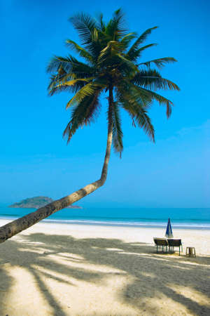 Tropical beach of Palolem, Goa, Indiaの写真素材