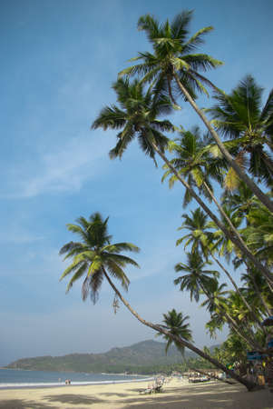 Tropical beach of Palolem, Goa, Indiaの写真素材