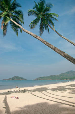 Tropical beach of Palolem, Goa, Indiaの写真素材