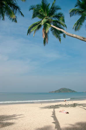 Tropical beach of Palolem, Goa, Indiaの写真素材