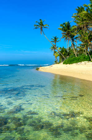 Tropical beach in Sri Lankaの写真素材
