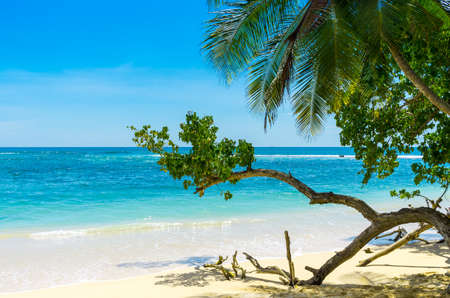 Tropical beach in Sri Lanka