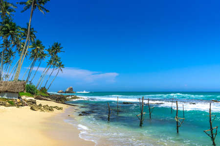 Tropical beach in Sri Lankaの写真素材