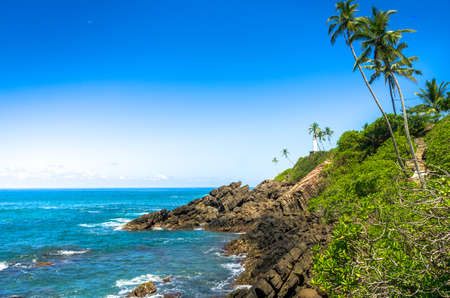 Tropical beach in Sri Lankaの写真素材