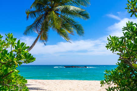 Tropical beach in Sri Lankaの写真素材