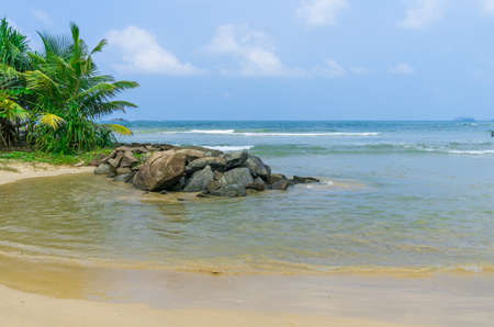 Tropical beach in Sri Lankaの写真素材