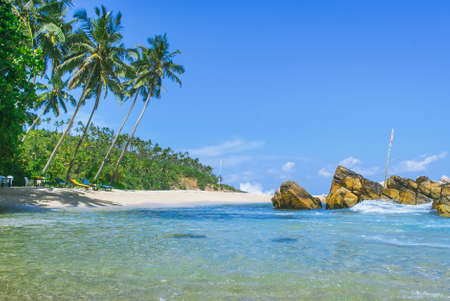 Tropical background - secret beach in Mirissa, Sri Lankaの写真素材
