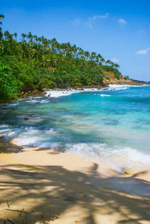 Tropical background - secret beach in Mirissa, Sri Lankaの写真素材