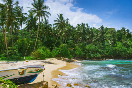 Tropical background - secret beach in Mirissa, Sri Lankaの写真素材