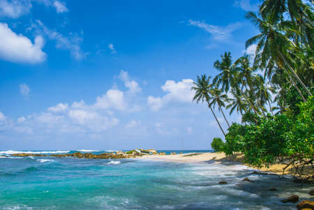 Tropical background - secret beach in Mirissa, Sri Lankaの写真素材