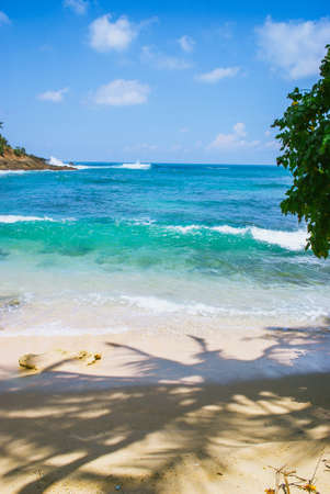 Tropical background - secret beach in Mirissa, Sri Lankaの写真素材