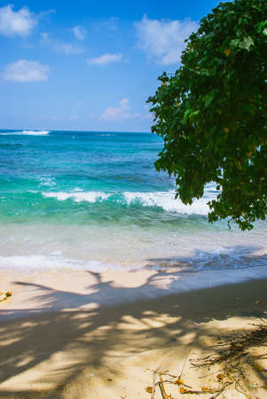 Tropical background - secret beach in Mirissa, Sri Lankaの写真素材