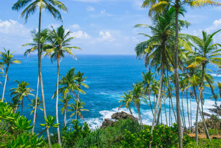 Tropical background - secret beach in Mirissa, Sri Lankaの写真素材