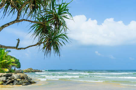 Tropical beach in Sri Lankaの写真素材