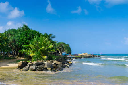 Tropical beach in Sri Lankaの写真素材