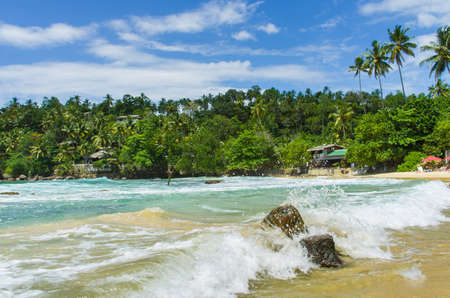 Tropical beach Mirissa in Sri Lankaの写真素材