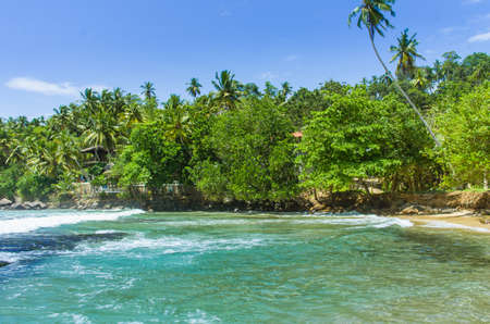 Tropical beach Mirissa in Sri Lankaの写真素材