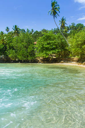 Tropical beach Mirissa in Sri Lankaの写真素材