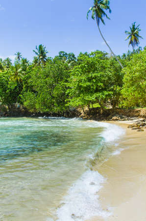 Tropical beach Mirissa in Sri Lankaの写真素材