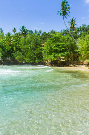 Tropical beach Mirissa in Sri Lankaの写真素材