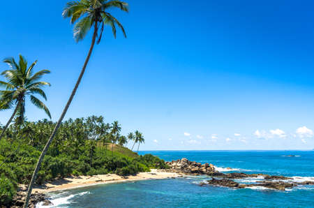 Tropical beach in Sri Lankaの写真素材