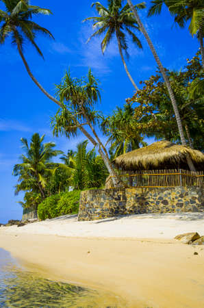 Tropical beach in Sri Lanka, Unawatunaの写真素材