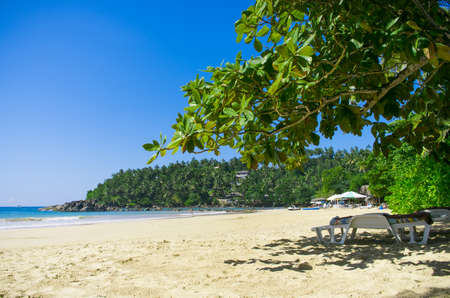 Tropical beach Mirissa in Sri Lankaの写真素材
