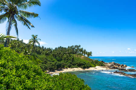 Tropical beach in Sri Lankaの写真素材