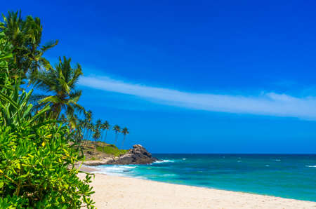 Tropical beach in Sri Lankaの写真素材