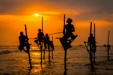 Silhouettes of the traditional fishermen at the sunset in Sri Lankaの写真素材