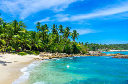 Tropical beach in Sri Lankaの写真素材
