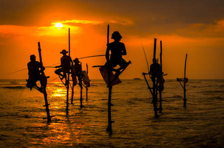 Silhouettes of the traditional fishermen at the sunset in Sri Lankaの写真素材