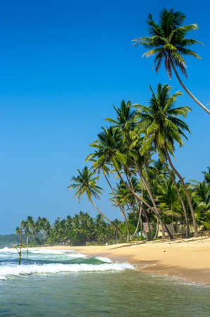 Tropical beach in Sri Lankaの写真素材