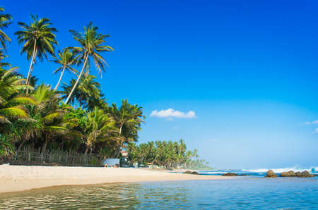 Tropical beach in Sri Lankaの写真素材