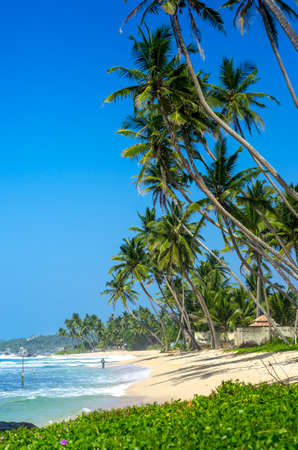 Tropical beach in Sri Lankaの写真素材