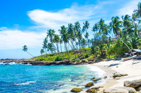 Tropical beach in Sri Lanka, Unawatunaの写真素材