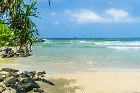 Tropical beach in Sri Lanka, Bentotaの写真素材