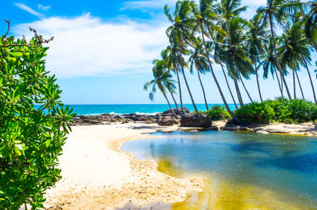 Tropical beach in Sri Lankaの写真素材