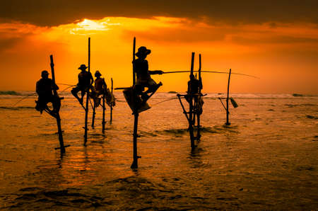 Silhouettes of the traditional fishermen at the sunset in Sri Lankaの写真素材