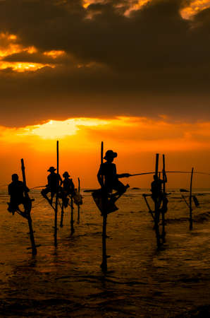 Silhouettes of the traditional fishermen at the sunset in Sri Lankaの写真素材