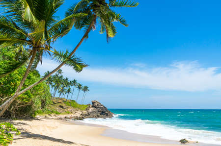 Tropical beach in Sri Lankaの写真素材