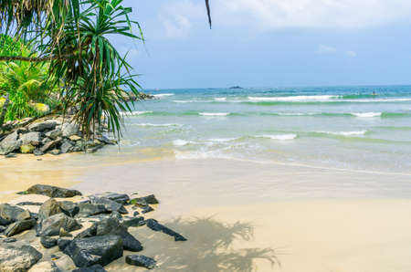 Tropical beach in Sri Lanka, Bentotaの写真素材
