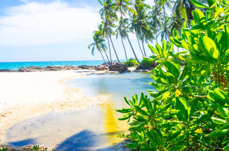 Beautiful landscape of the coast of Varkala. Kerala, India.の写真素材